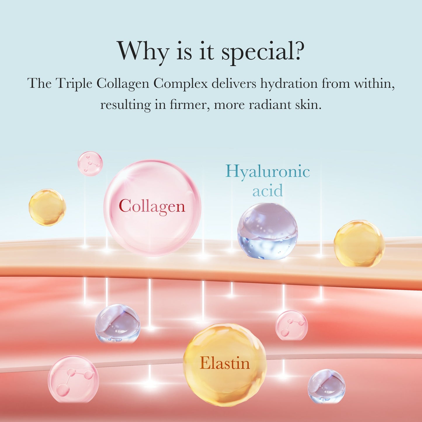 triple-collagen-cream-y9 04_8e4e330d-7d9c-4ff0-93ec-ea541093220c.jpg